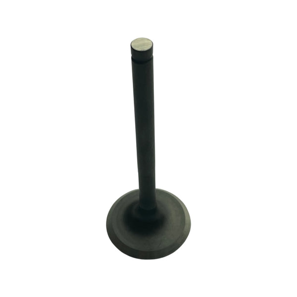 1025059 Exhaust valve