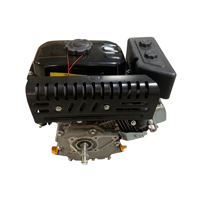 1109020-Genuine Replacement Petrol Engine