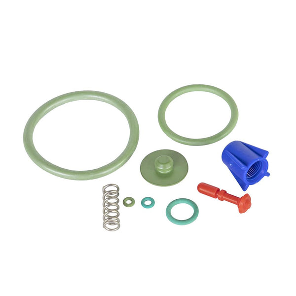 Robert Scott Sprayer Seals Kit for Pow-R-Plus Pressure Sprayer 102180 - Buy Direct from Spare and Square