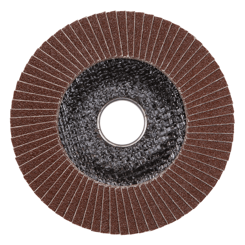 Sealey Flap Discs Ø115mm Aluminium Oxide Flap Discs Ø22mm Bore 120Grit - Pack of 10-FD115120E10 5054630200458 FD115120E10 - Buy Direct from Spare and Square