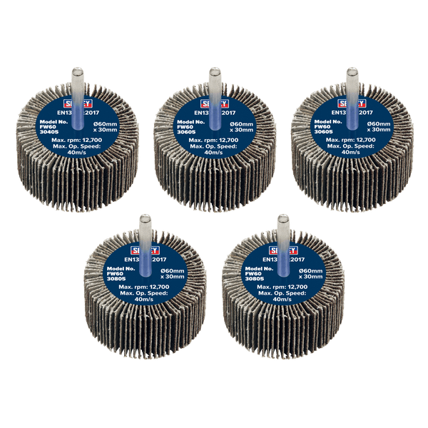 Sealey Flap Wheels Ø60 x 30mm Flap Wheel Ø6mm Shaft Assorted Grit - Pack of 5-FW6030ASS 5054630101649 FW6030ASS - Buy Direct from Spare and Square