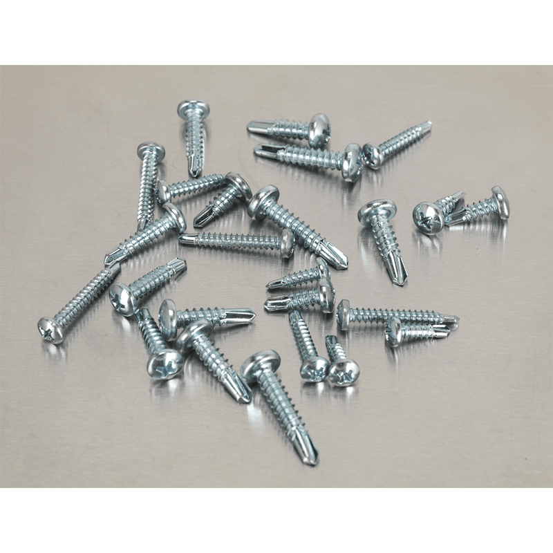 Sealey Screws & Fixings 500pc Self-Drilling Phillips Pan Head Screw Assortment-AB060SDS 5054511053401 AB060SDS - Buy Direct from Spare and Square