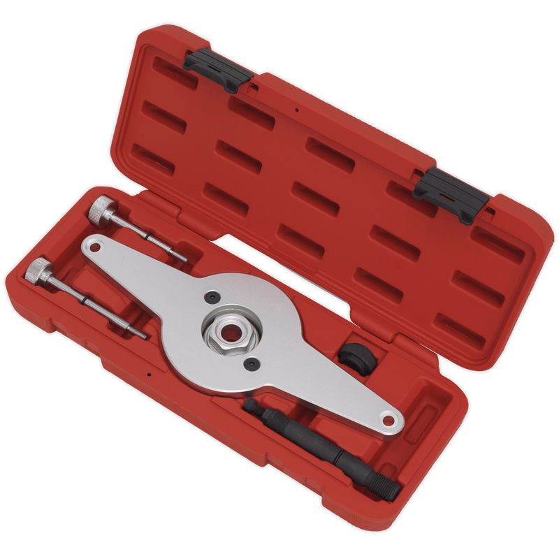 Sealey Setting & Locking Tools Vibration Damper Holding Tool - VAG 1.8/2.0 TFSi - Chain Drive-VSE4251 5054511256079 VSE4251 - Buy Direct from Spare and Square