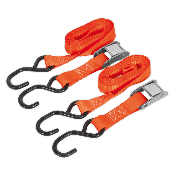 Sealey Tie Downs 25mm x 2.5m Polyester Webbing Cam Buckle Strap with S-Hooks 500kg Breaking Strength-TD05025CS 5051747807433 TD05025CS - Buy Direct from Spare and Square