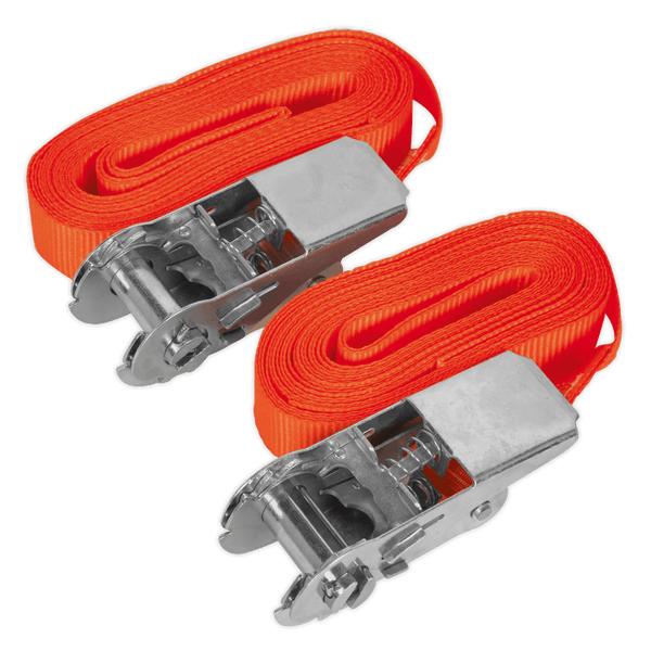 Sealey Tie Downs 25mm x 4.5m Self-Securing Ratchet Straps 500kg Breaking Strength - Pair-TD05045E 5051747807457 TD05045E - Buy Direct from Spare and Square