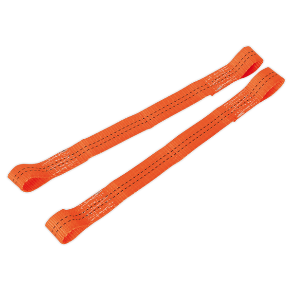 Sealey Tie Downs Tie Down Securing Loop - Pair-TDL01 5051747807471 TDL01 - Buy Direct from Spare and Square