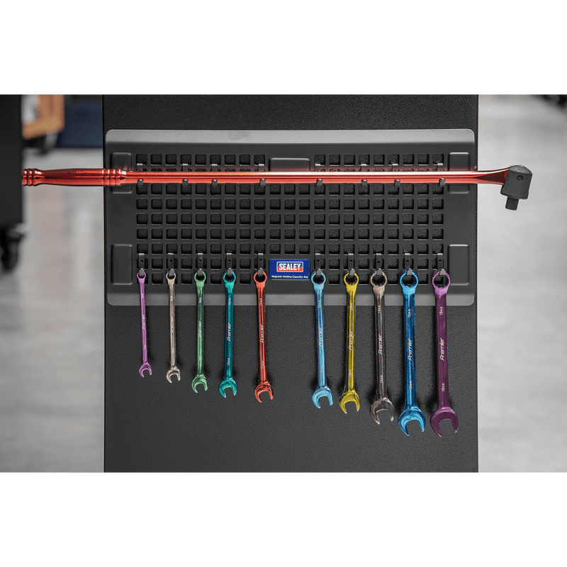 Sealey Tool Chests Magnetic Pegboard - Black-APPBB 5054511861983 APPBB - Buy Direct from Spare and Square