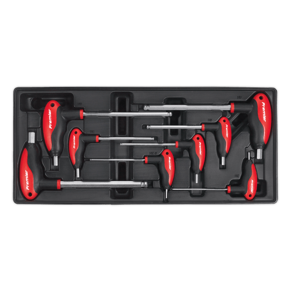 Sealey Tool Trays 8pc T-Handle Ball-End Hex Key Set with Tool Tray-TBT06 5051747333680 TBT06 - Buy Direct from Spare and Square