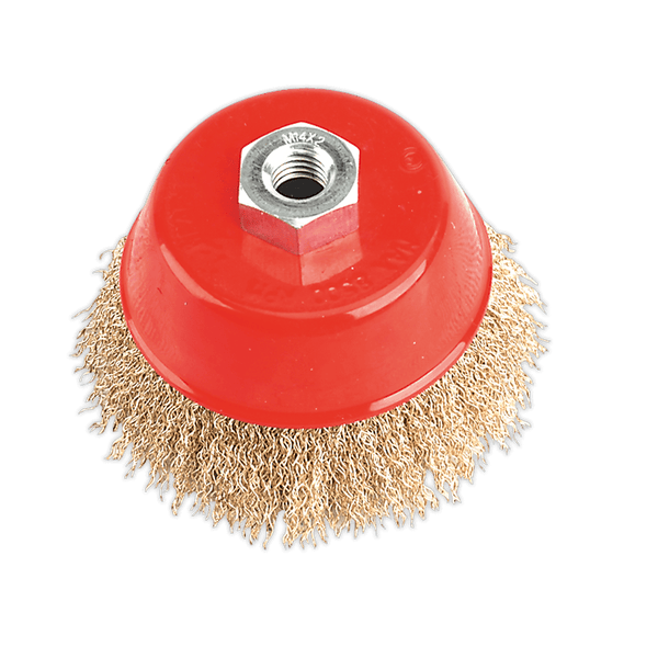 Sealey Wire Wheels Ø100mm Brassed Steel Cup Brush M14 x 2mm-CBC100 5024209142007 CBC100 - Buy Direct from Spare and Square