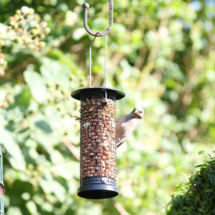 Spare and Square Garden Garden Bird Nut Feeder BFYG - Buy Direct from Spare and Square