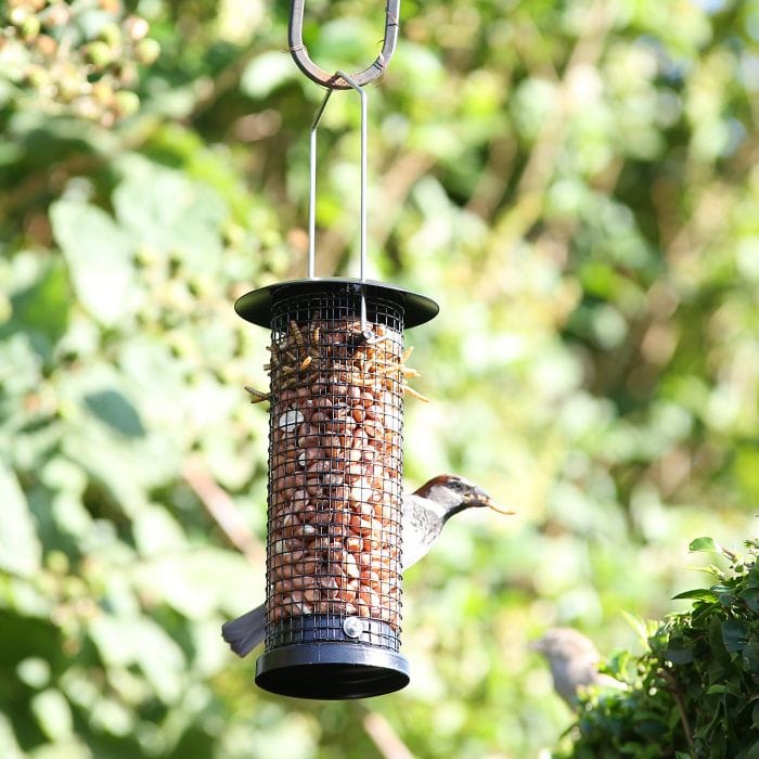 Spare and Square Garden Garden Bird Nut Feeder BFYG - Buy Direct from Spare and Square